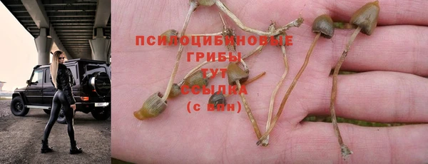 каннабис Баксан