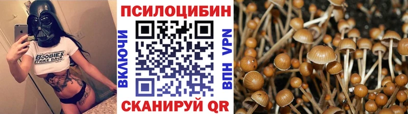 наркошоп  Белово  Псилоцибиновые грибы Psilocybine cubensis 