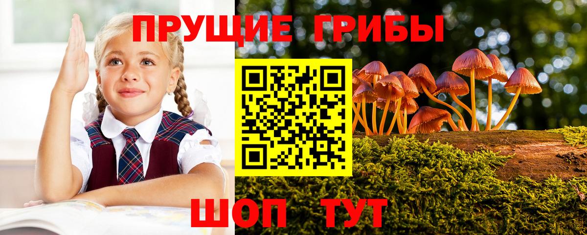 Белово  Галлюциногенные грибы Psilocybe  Галлюциногенные грибы GOLDEN TEACHER  Вход с VPN 