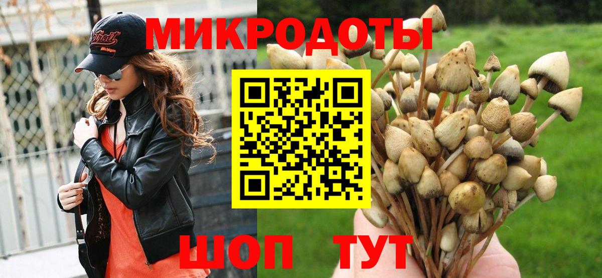 Псилоцибиновые грибы Cubensis Белово